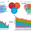 Neoantigen_HERVs